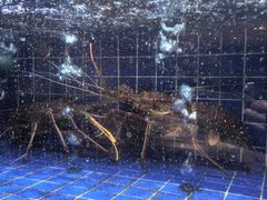 -粤珍轩.创始店.始于2001(含光门店)