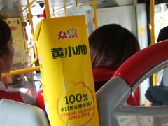 -广州都市观光巴士(粤陶巴)