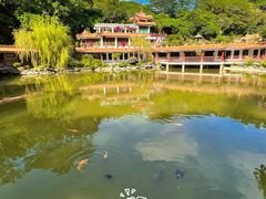 -深圳仙湖植物园