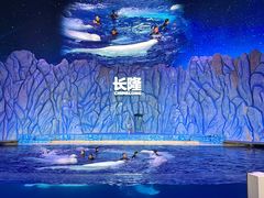 -珠海长隆海洋王国