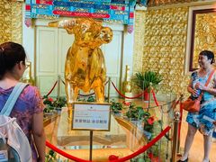 -华西龙希大酒店旅游观光区