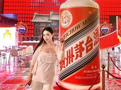 -中街·盛京龙城