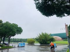 -金陵图书馆