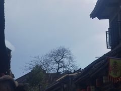 -王万妈卤猪脚(青岩交通路)