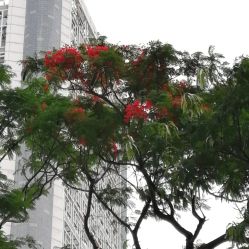 -深圳市妇幼保健院(红荔院区)