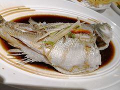 清蒸鲈鱼-眉州东坡(民族园店)