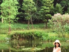 -云溪植物园