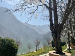 -秦岭终南山世界地质公园翠华山景区