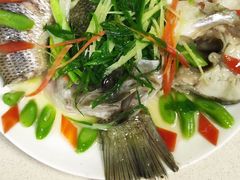 -金贝儿月嫂(高新尚品国际店)