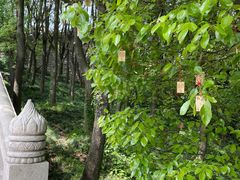 -灵山胜境