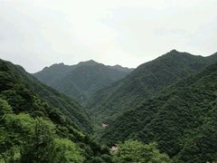 android_upload_pic-陕西省红河谷森林公园