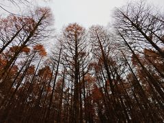 -山王坪喀斯特国家生态公园
