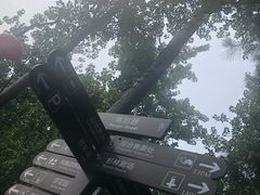 -合肥滨湖国家森林公园