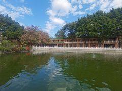 -广东圆玄道观