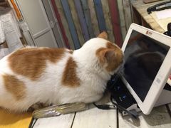 -小时光咖啡馆(开森度假森林店)