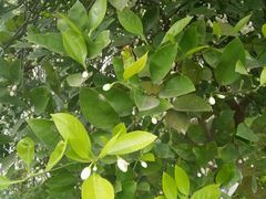 -艾溪湖湿地公园