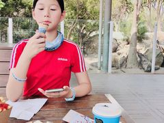 -威勒比开放式动物园