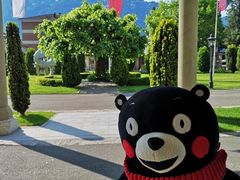 -因特拉肯贝乌里瓦奇大酒店