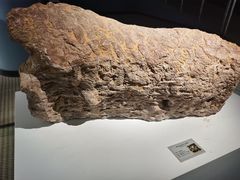 -辽宁古生物博物馆