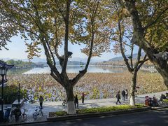 -北山街历史文化街区