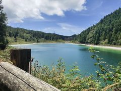 -武陵山森林公园