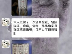 -Bastet sally猫舍购宠(静安店)