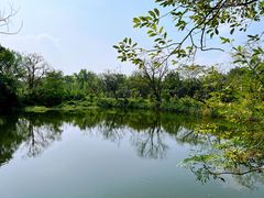 -西溪国家湿地公园