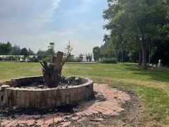 -前小桔亲子创意农场·草莓采摘·露营烧烤