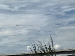 -灞河西岸滨河公园