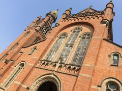 -上海佘山国家森林公园西佘山园