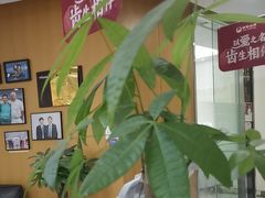 -雅悦齿科(顾村公园店)