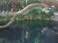 -蝴蝶泉公园