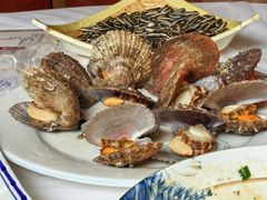 -宾朋海鲜特色美食餐厅·纯手工鲅鱼水饺(兴海路店)