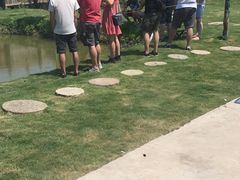 -南汇新场正宗水蜜桃采摘