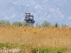 -野鸭湖国家湿地公园