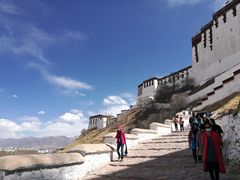 -秦小龙驴肉火烧馆