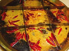 -杨家火锅(国美店)