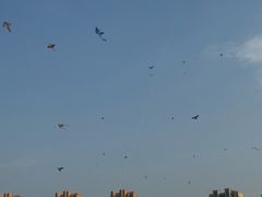 -映月湖中央公园