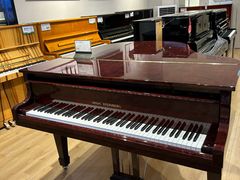 -柏斯音乐艺术中心·钢琴·吉他(世纪金源店)