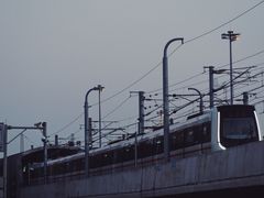 -海堤纪念公园