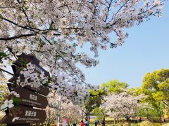 -苏州上方山国家森林公园