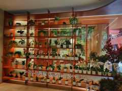 -二酉书店TOYOU BOOKS