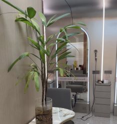 -杜卡诗salon