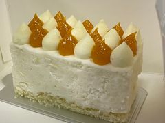 椰子香米蛋糕-双风车咖啡馆 Twin Windmills(六道口店)