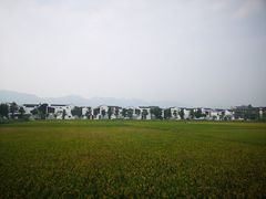 -东梓关景区村庄