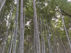 -同里国家湿地公园