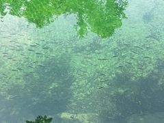 -石台牯牛降景区