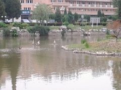 -北京小汤山医院体检中心