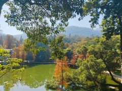 -广州市白云山风景名胜区