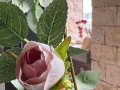 -22ºN BISTRO西餐&酒馆